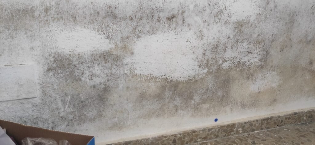 Pared baja con humedad por condensación en vivienda de Móstoles