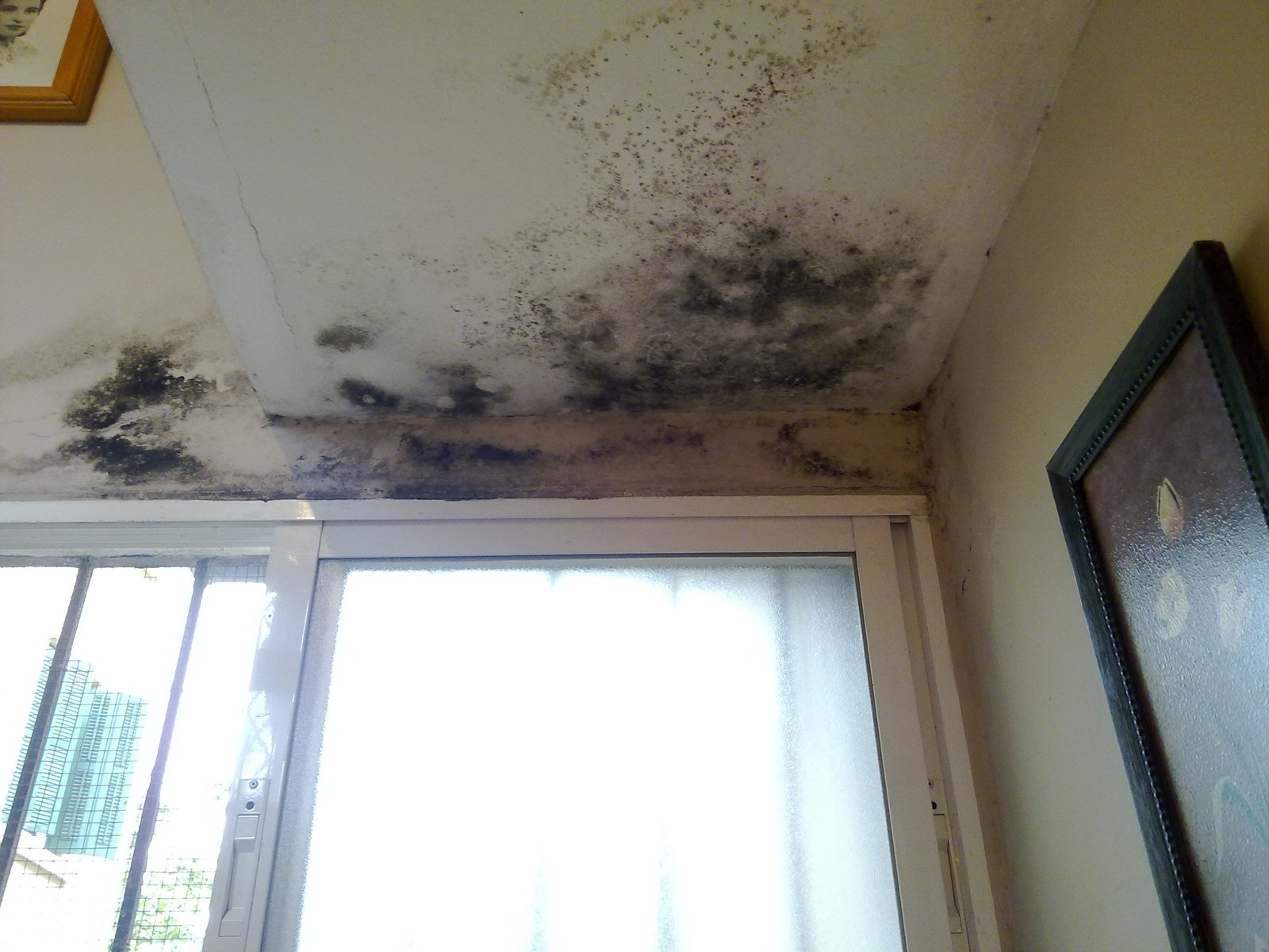Moho negro en pared, justo encima de una ventana causado por la condensación
